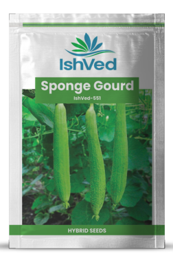 SpongeGourd / Galki IVSGH-551 50 grams