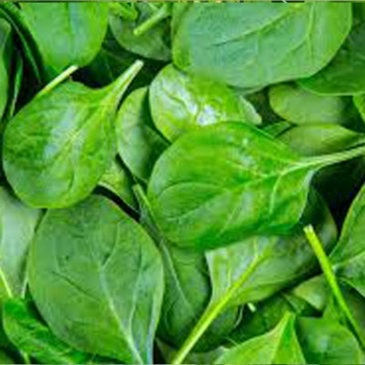 Spinach / Palak IVSPN-926 500 grams