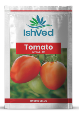 Tomato IVTMH-101 10 grams