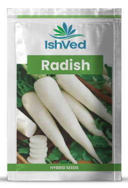 Radish IVTMP-02 250 grams