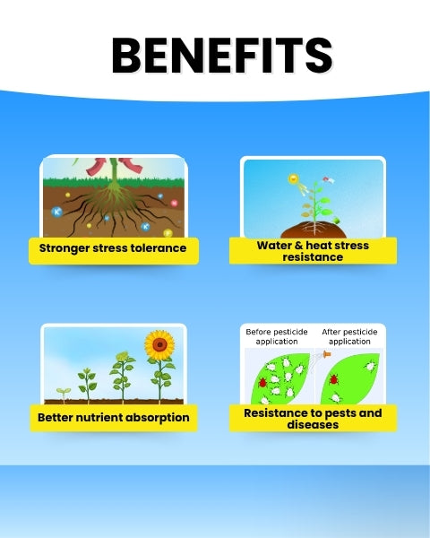 Katyayani K-Ortho - Orthosilicic Acid (OSA) 2 %