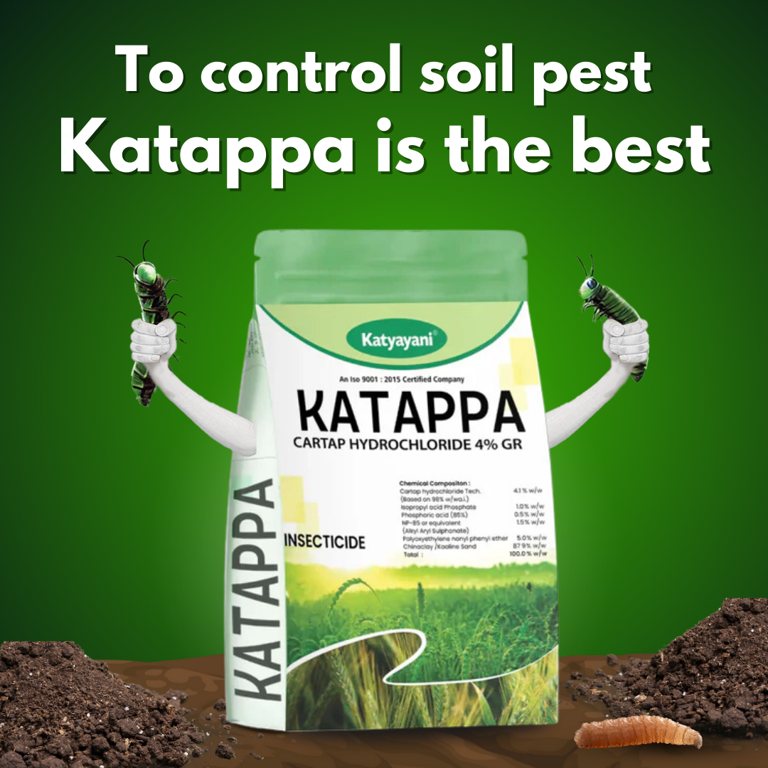 Katyayani Katappa - Cartap hydrochloride 4% GR