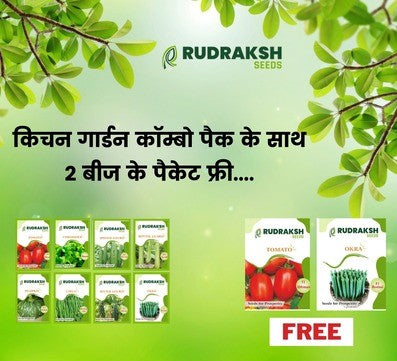 Rudraksh Combo Kitchen Garden Pack (8+2 products)