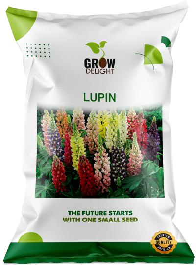 Grow Delight Imported Lupin - 200 seeds