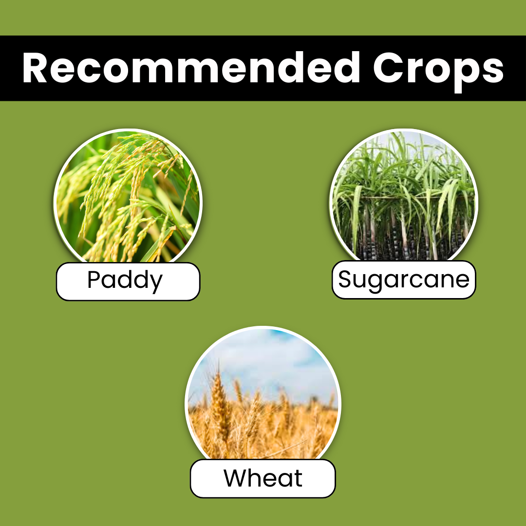 Katyayani MSM - Metsulfuron Methyl 20% WP | Herbicide