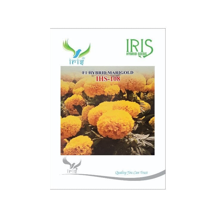 Marigold Yellow Iris F1 IHS-108 - 100 seeds