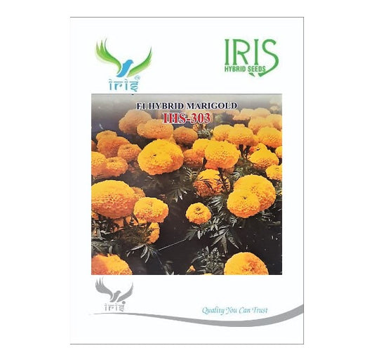 Marigold Yellow Iris F1 IHS-303