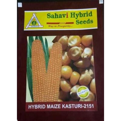 Maize Kasturi-2151