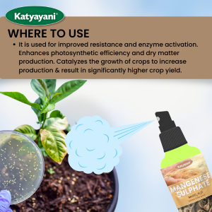 Katyayani Mangenese Sulphate