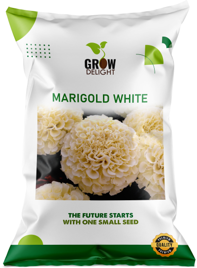 Grow Delight Imported Marigold White