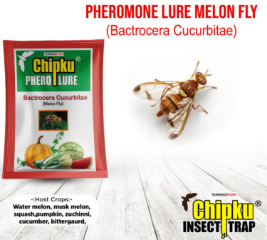 Chipku Melon Fly Lure