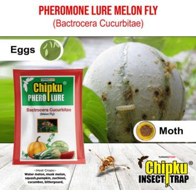 Chipku Melon Fly Lure