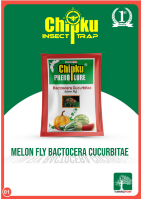 Chipku Pheromone Mac Phill Trap with Melon Fly Lure (Combo Pack of 5)