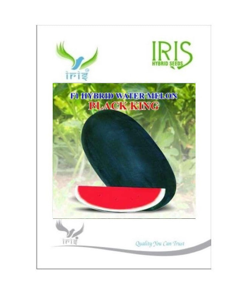 Watermelon F1 Iris Black King