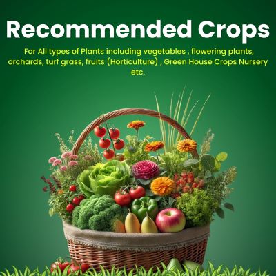 Katyayani Mix Micronutrient