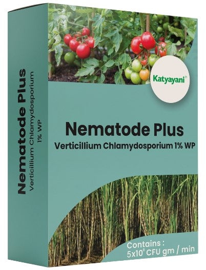Katyayani Nemotode Plus - Verticillium Chlamydosporium 1% WP