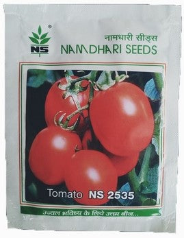 Tomato NS 2535