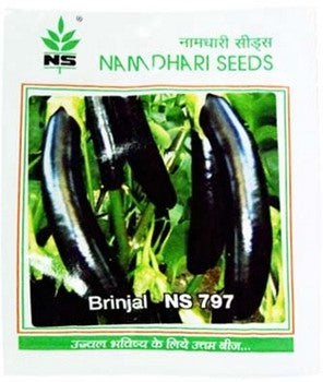 Brinjal NS 797