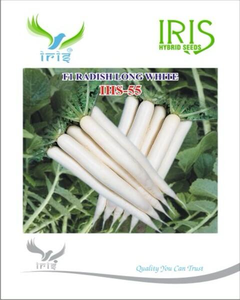 Radish F1 Iris IHS-55 50 grams