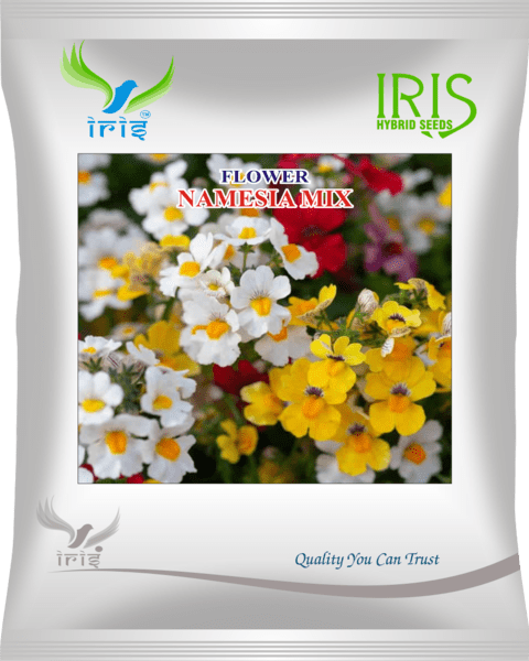 Iris Imported OP Namesia Mix 300+ Seeds