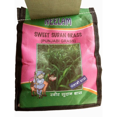 Neelam Sweet Sudan Grass