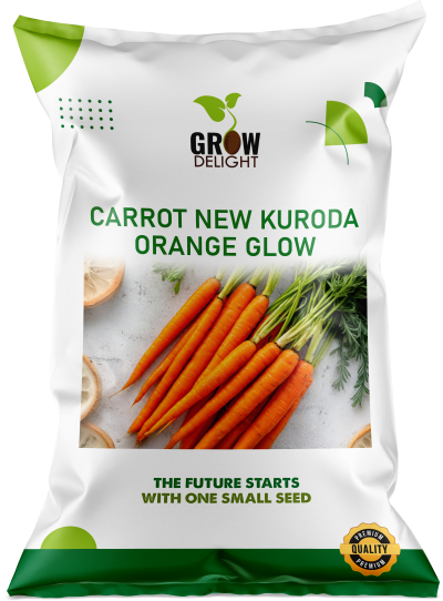 Carrot Imported New Kuroda Orange Glow