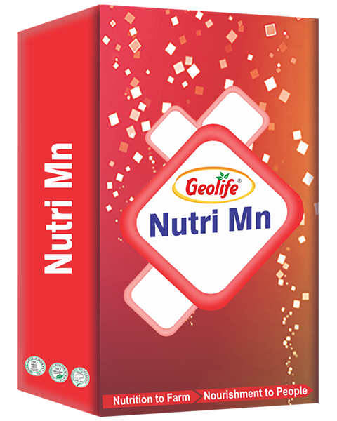 Geolife Nano Mn - Nano Micro Nutrient Fertilizers
