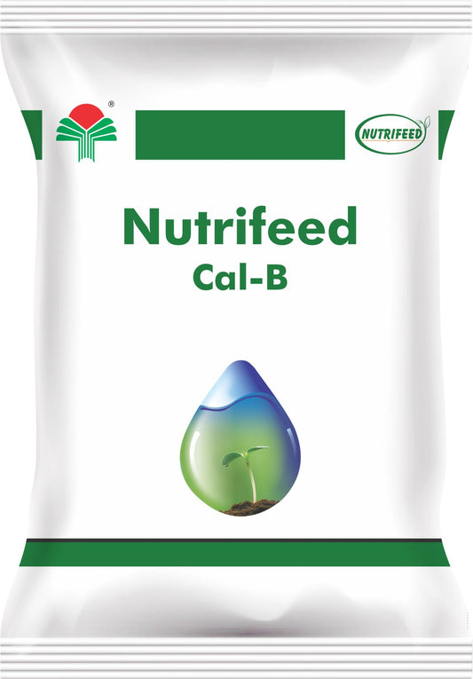 Nutrifeed Cal-B (Ca IDHA – 10% CaO + 1% B)