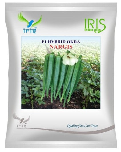 Okra / Lady Finger F1 Iris Nargis