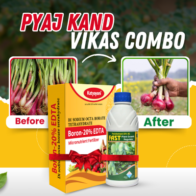 Katyayani Onion Bulb Growth Booster Combo