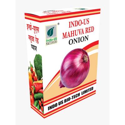 Onion Indo US Mahuva Red