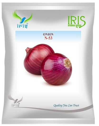 Onion OP Iris N-53 - 50 grams