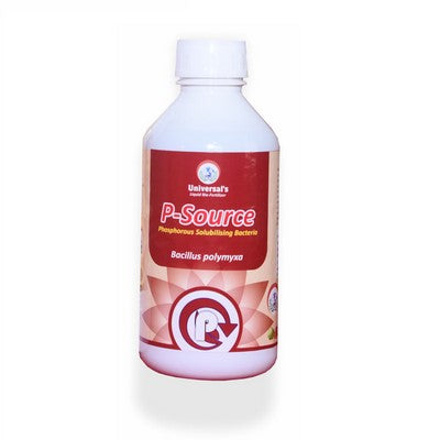 P-Source Phosphorous Solubilising Bacteria - 1 Litre (Turning Point)