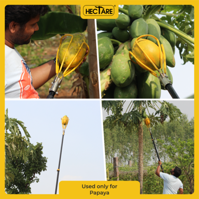Hectare Papaya Picker (without pole)