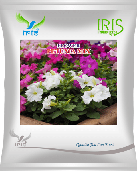 Iris Imported OP Petunia Mix 300+ Seeds