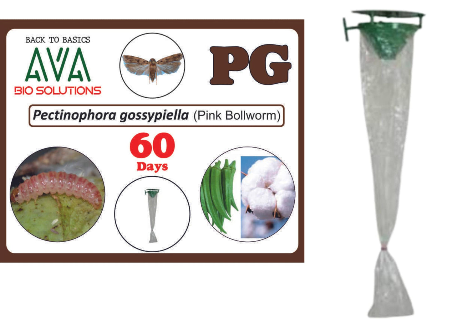Ava Combo Pack of Funnel Pheromone Trap + PG Lure