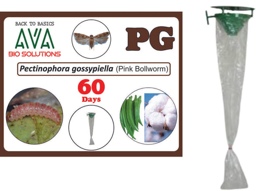 Ava Combo Pack of Funnel Pheromone Trap + PG Lure