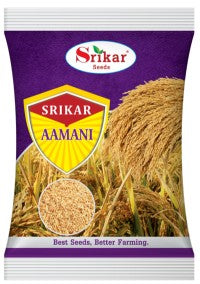 Paddy / Dhan Srikar Aamani