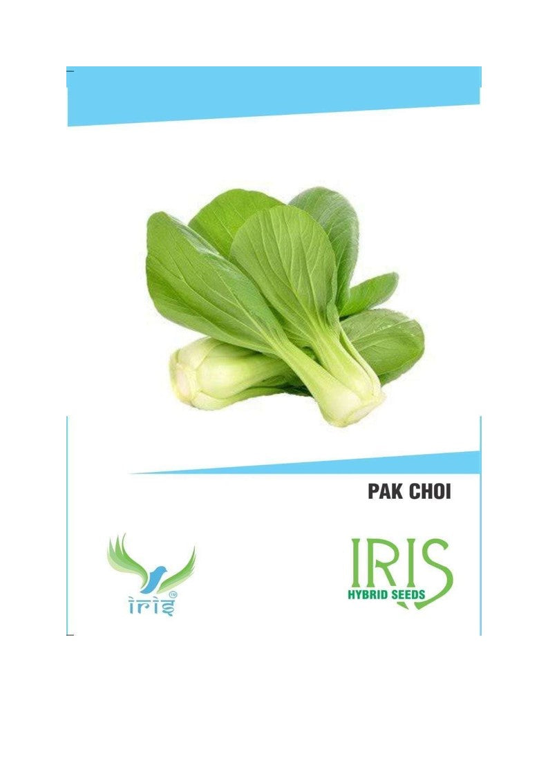 Iris Imported Pakchoi 100 Seeds