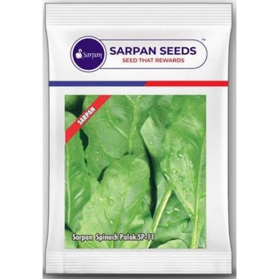 Spinach / Palak Sarpan SP 11