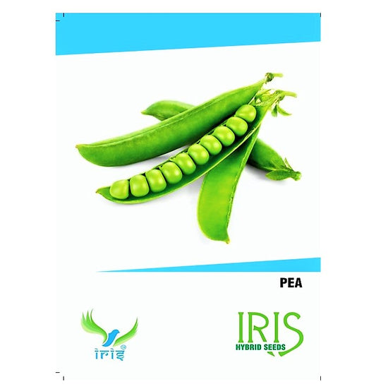 Iris OP Peas / Matar