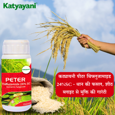 Katyayani Peter - Thifluzamide 24% SC