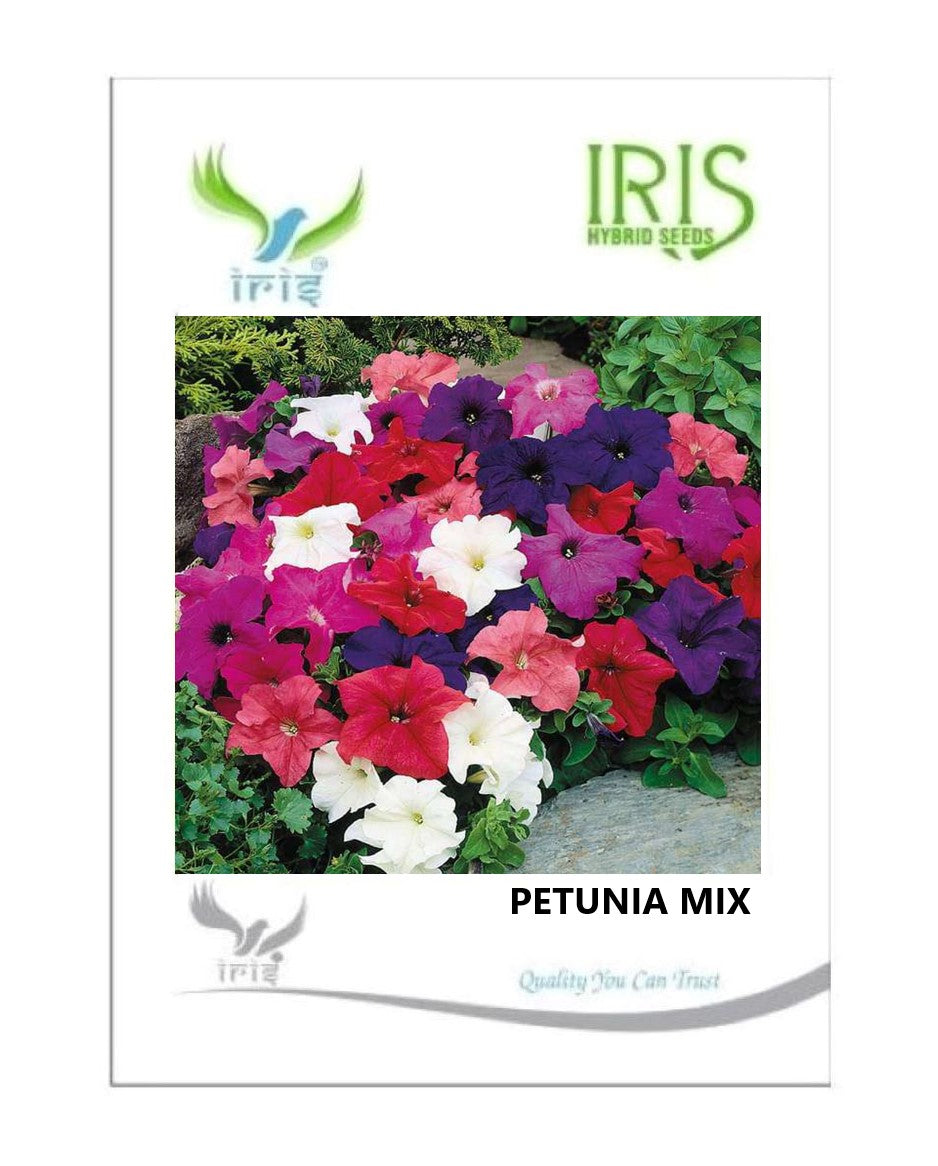 Iris Imported Petunia Mix