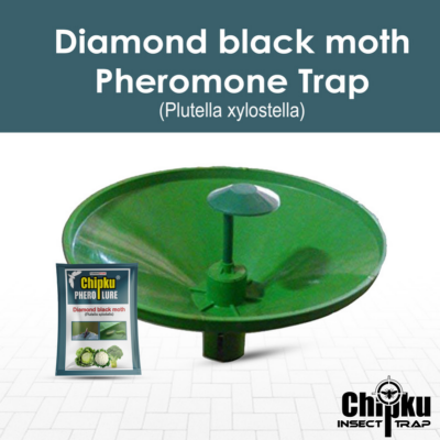 Chipku Pheromone Water Trap with DBM Lure (Combo Pack of 6)