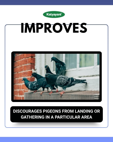 Katyayani Pigeon Repellant