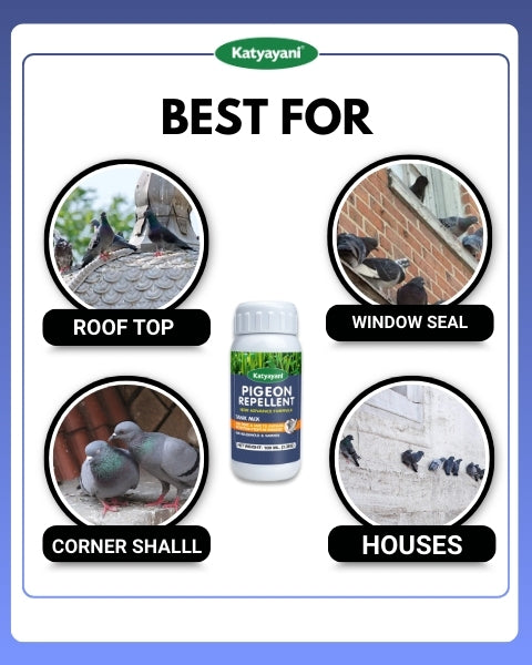 Katyayani Pigeon Repellant