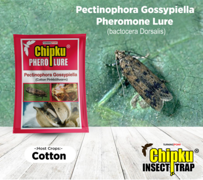 Chipku Pink Bollworm Lure