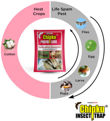 Chipku Pink Bollworm Lure