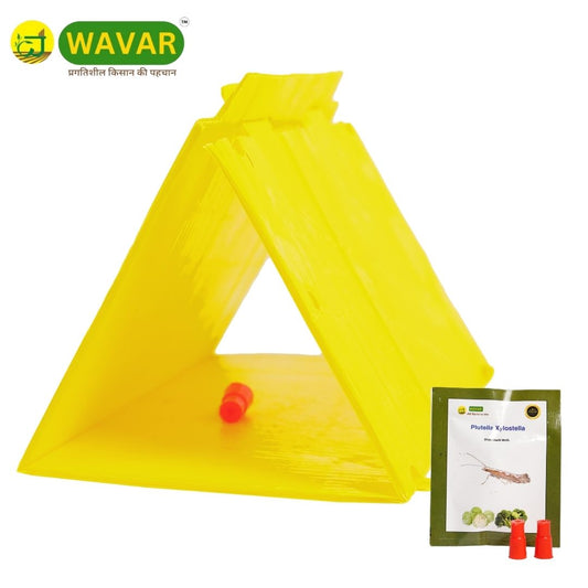 Wavar Delta Trap with Plutella Xylostella Lure