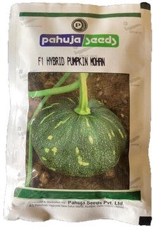 Pumpkin / Kaddoo Mohan